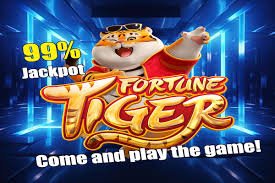 spin pkr Live Casino